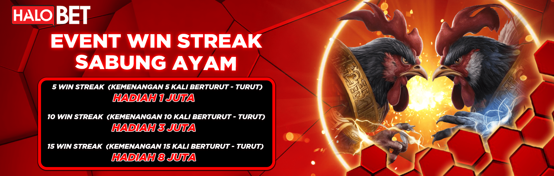 EVENT WIN STREAK SABUNG AYAM HALOBET