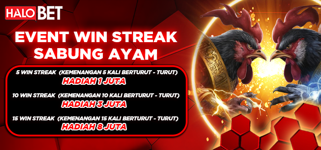 EVENT WIN STREAK SABUNG AYAM HALOBET